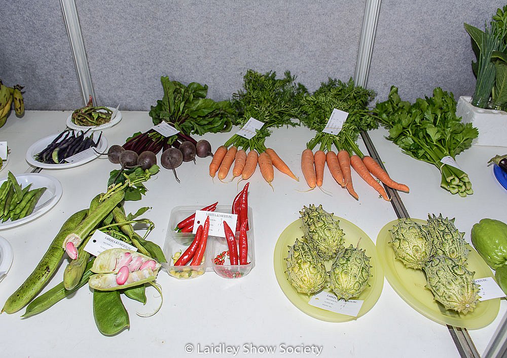 Friday 2017 Laidley Show - Day 1 2017 Laidley Show