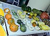 Friday 2017 Laidley Show - Day 1 2017 Laidley Show