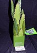 Friday 2017 Laidley Show - Day 1 2017 Laidley Show