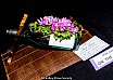Friday 2017 Laidley Show - Day 1 2017 Laidley Show