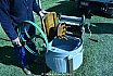 Sunday 2017 Laidley Show - Day 3 2017 Laidley Show