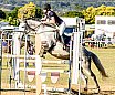 Sunday 2017 Laidley Show - Day 3 2017 Laidley Show
