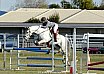 Sunday 2017 Laidley Show - Day 3 2017 Laidley Show
