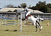 Sunday 2017 Laidley Show - Day 3 2017 Laidley Show