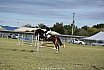 Sunday 2017 Laidley Show - Day 3 2017 Laidley Show