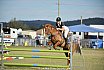Sunday 2017 Laidley Show - Day 3 2017 Laidley Show