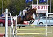 Sunday 2017 Laidley Show - Day 3 2017 Laidley Show