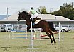 Sunday 2017 Laidley Show - Day 3 2017 Laidley Show