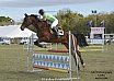 Sunday 2017 Laidley Show - Day 3 2017 Laidley Show