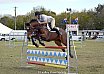 Sunday 2017 Laidley Show - Day 3 2017 Laidley Show