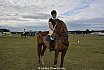 Sunday 2017 Laidley Show - Day 3 2017 Laidley Show