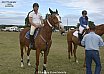 Sunday 2017 Laidley Show - Day 3 2017 Laidley Show